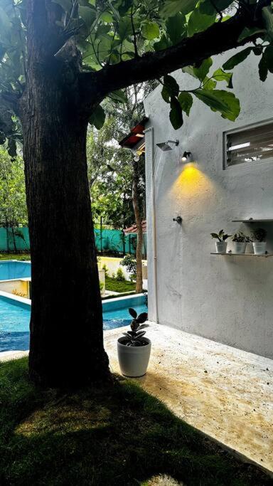 Serenity Farm Stay Hampāpura Extérieur photo